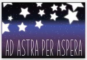 Ad astra per aspera sticker