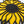 Load image into Gallery viewer, Kansas Sunflower
