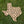 Load image into Gallery viewer, Texas Beer Cap Map
